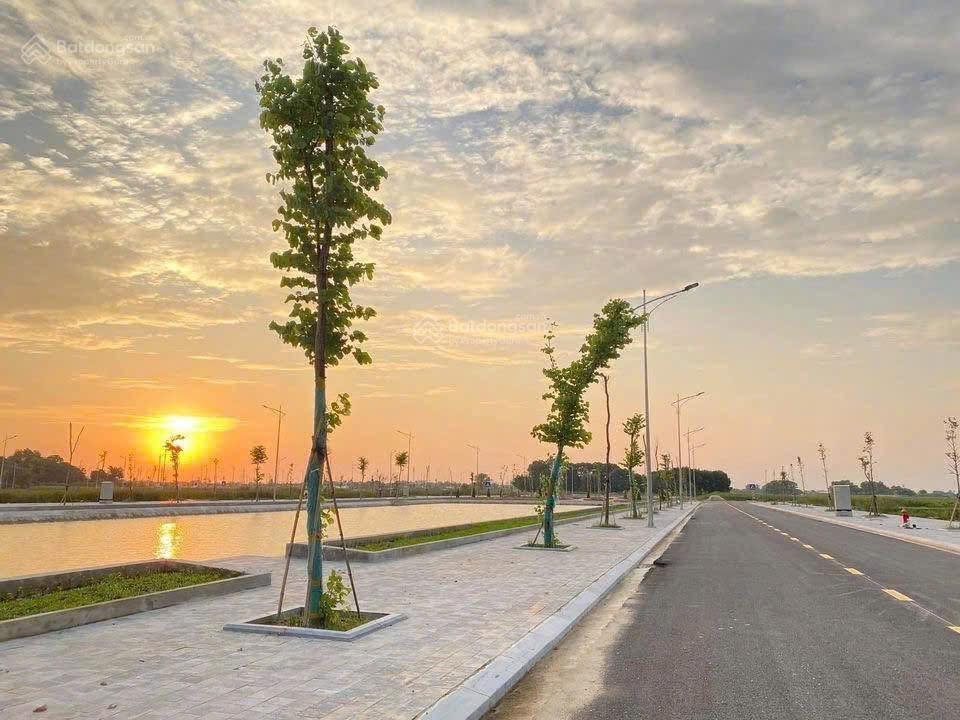 Chính chủ cần bán lô lk14 ô 52 tại mb520 tt. rừng thông, đông sơn, thanh hóa