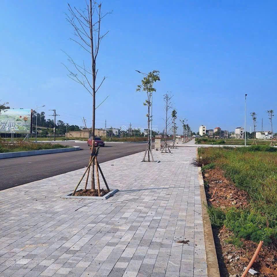 Chính chủ cần bán lô lk14 ô 52 tại mb520 tt. rừng thông, đông sơn, thanh hóa