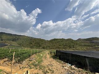 Đất tại thôn phìn hồ, xã y tý, giá cực chất. sổ hồng sang tên. qh đất ở, view hồ 30ha. hàng hiếm