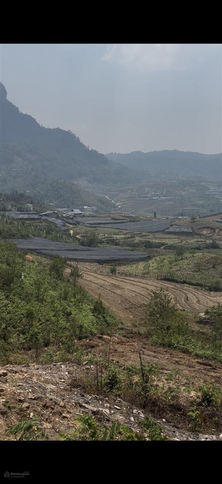 Đất tại thôn phìn hồ, xã y tý, giá cực chất. sổ hồng sang tên. qh đất ở, view hồ 30ha. hàng hiếm