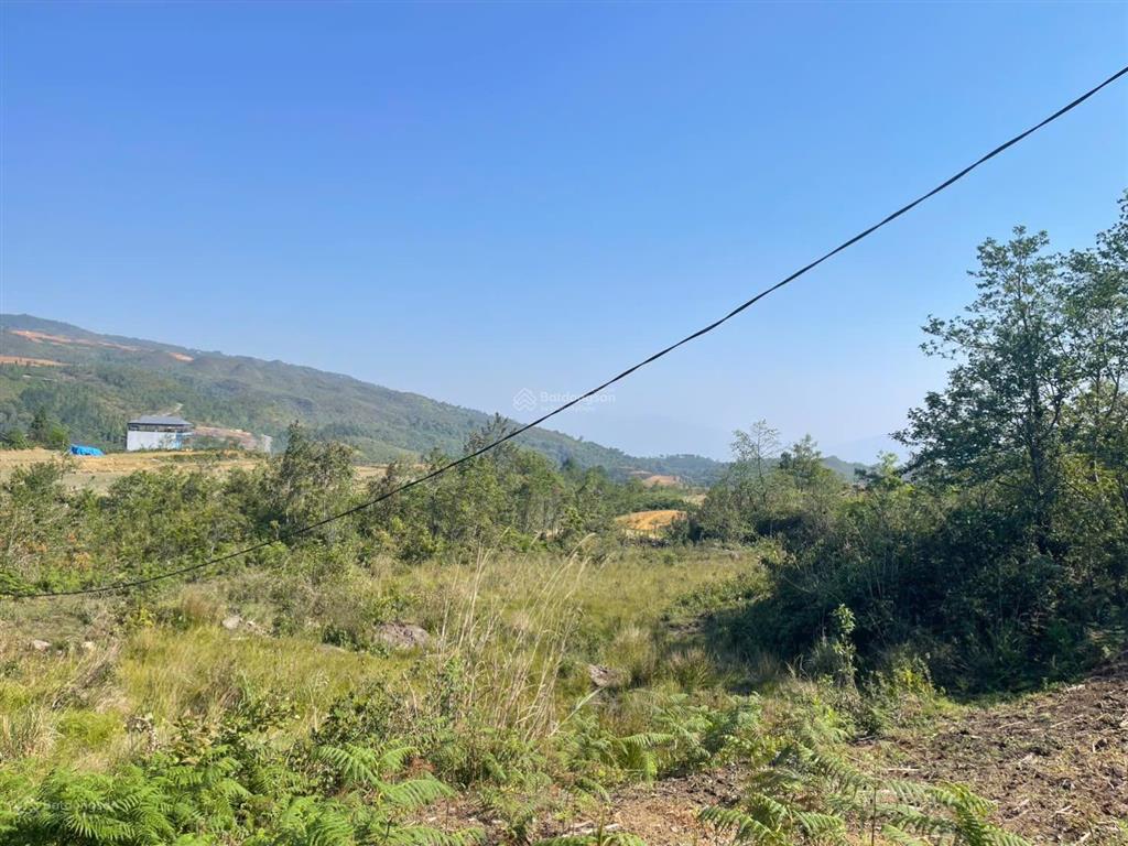 Cực hiếm hàng f0 tại y tý thôn phìn hồ, qh trung tâm mới, view hồ 30ha, phát triển ngập tràn