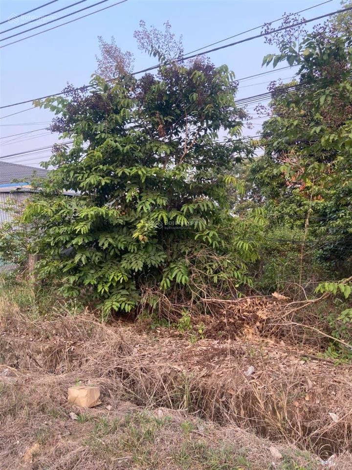 Bán đất tại ấp 2, mặt tiền quốc lộ 13, 2,5 tỷ, 708m2, giá siêu hời uy tín
