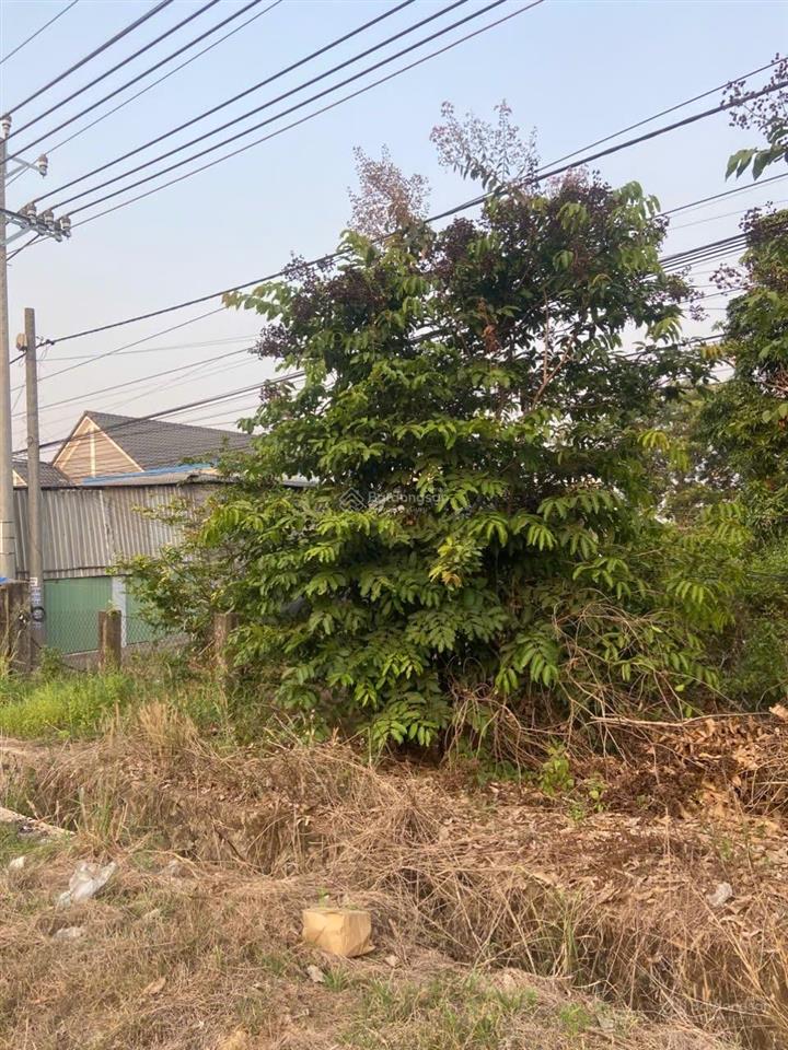 Bán đất tại ấp 2, mặt tiền quốc lộ 13, 2,5 tỷ, 708m2, giá siêu hời uy tín