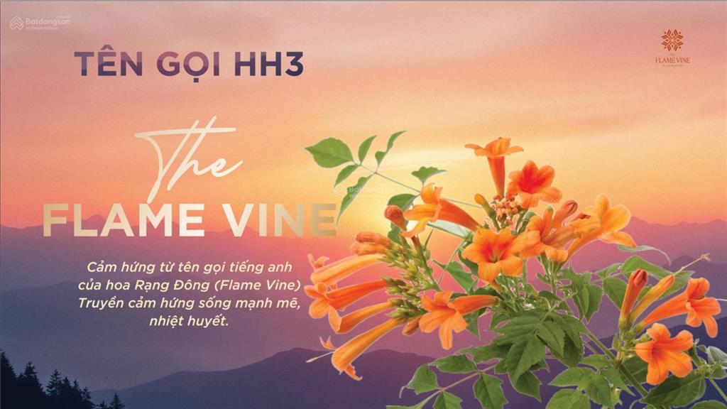Nổi bật quỹ căn đẹp chung cư the flame vine giá 7x triệu/m2.  0888 017 ***.