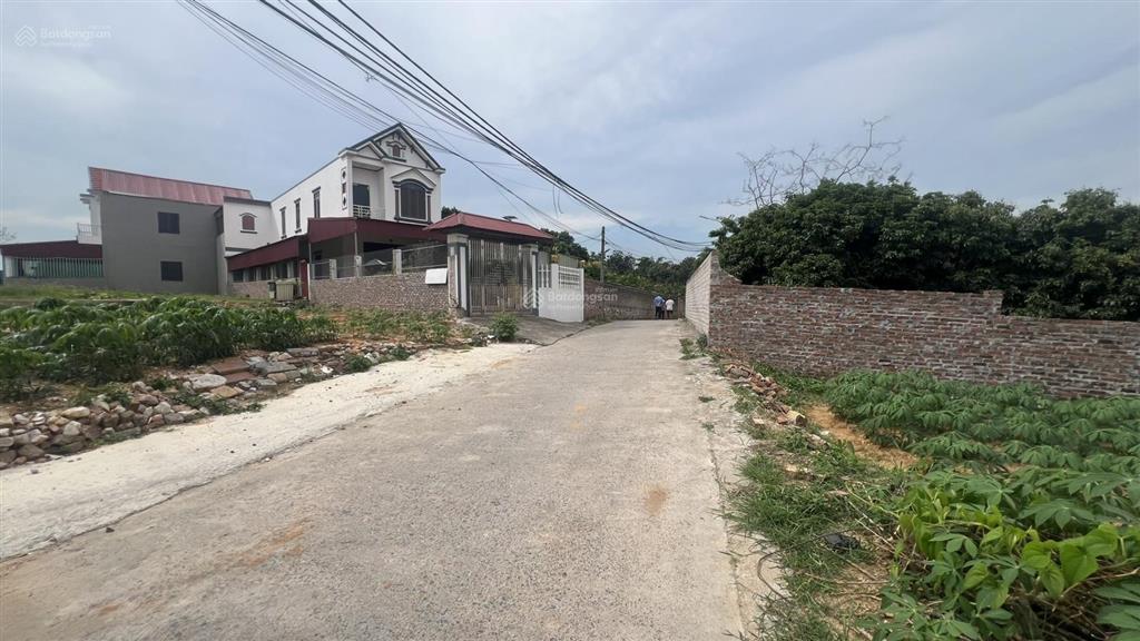 Ngân hàng phát mại lô đất tại châu phong, quế võ, bắc ninh