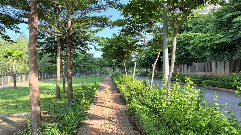 Cho thuê căn hộ 2pn góc palm heights full nội thất hướng mát chỉ 16,5 triệu  mr đảng 0963 829 ***