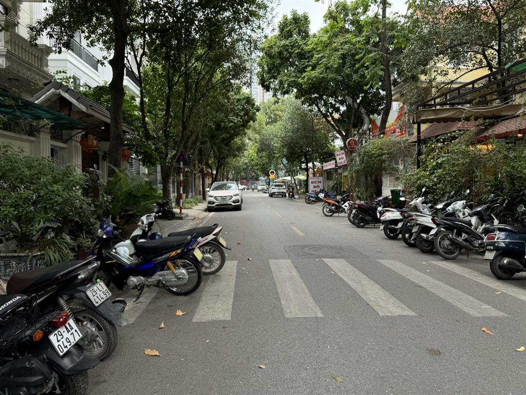 Biệt thự mỹ đình một căn duy nhất 140m mt 10m 3x tỷ