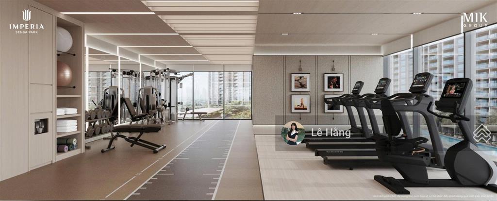 Bán duplex imperia sensa park to nhất dự án