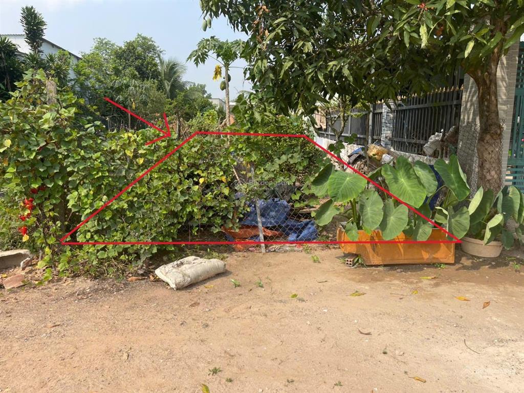Chính chủ bán đất tân định 16 (283.1m² ngang 6m thổ cư cao)