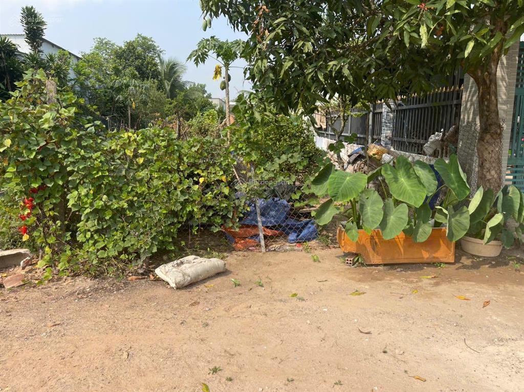 Chính chủ bán đất tân định 16 (283.1m² ngang 6m thổ cư cao)