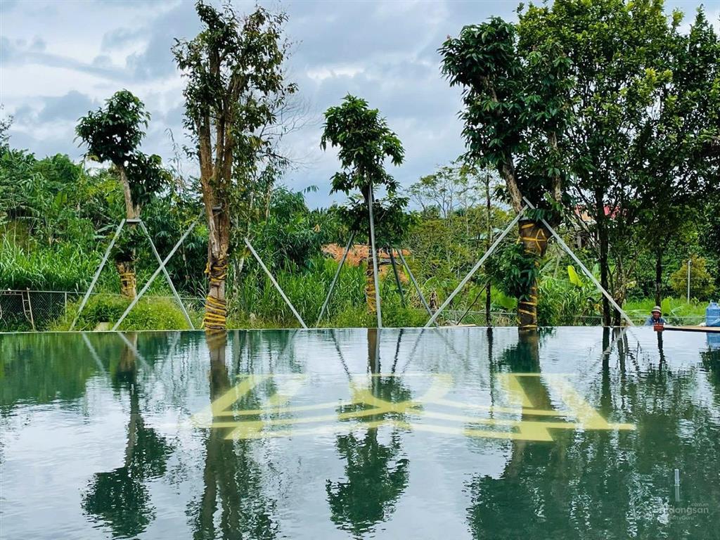 Em còn 1 lô duy nhất vị trí đẹp, giá cực tốt. đất thổ cư, sổ hồng riêng.