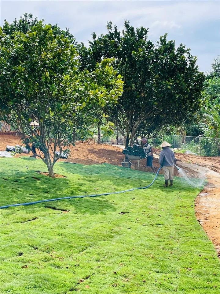 Em còn 1 lô duy nhất vị trí đẹp, giá cực tốt. đất thổ cư, sổ hồng riêng.