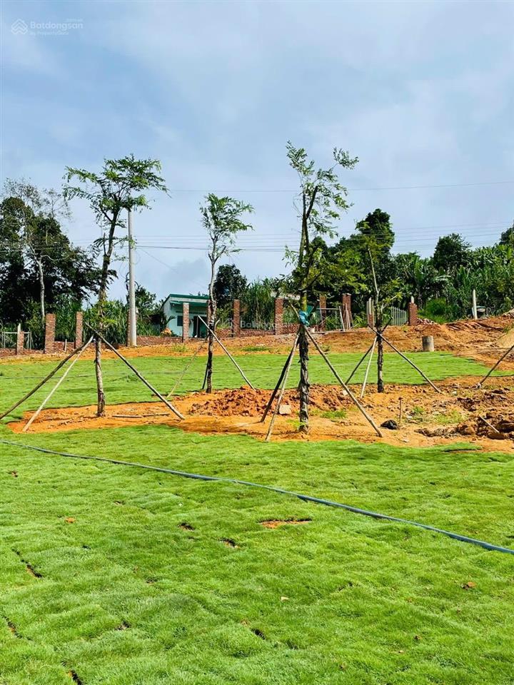 Em còn 1 lô duy nhất vị trí đẹp, giá cực tốt. đất thổ cư, sổ hồng riêng.
