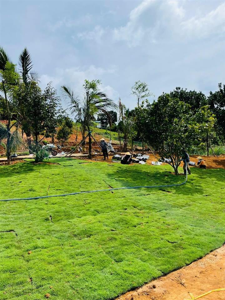 Em còn 1 lô duy nhất vị trí đẹp, giá cực tốt. đất thổ cư, sổ hồng riêng.