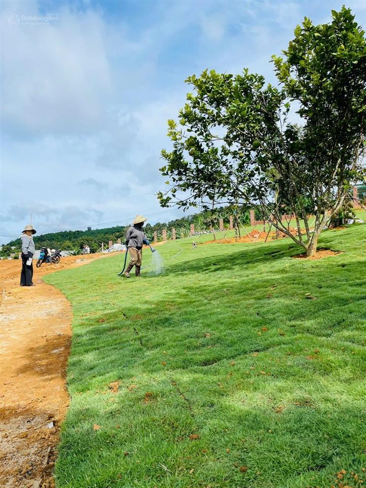 Em còn 1 lô duy nhất vị trí đẹp, giá cực tốt. đất thổ cư, sổ hồng riêng.