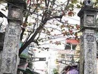🏠 BÁN NHÀ ĐẸP LÊ ĐẠI HÀNH – NHÀ THOÁNG – DÂN TRÍ CAO – 36M²