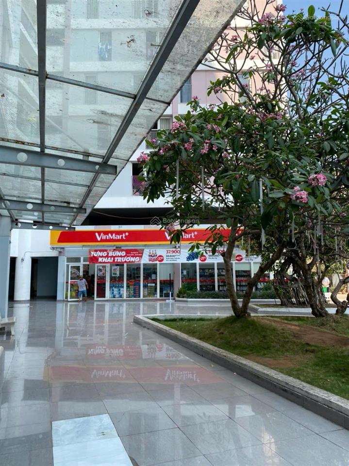 Bán shophouse đang cho winmart thuê