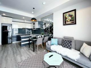 Bán căn hộ đẹp cc topaz city, q.8, dt 74m2, 2pn/2wc, fullnt, shr!