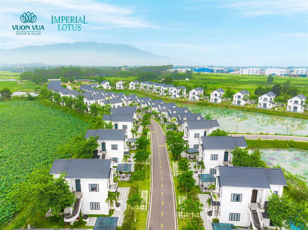 Bán biệt thự vườn vua tại phú thọ