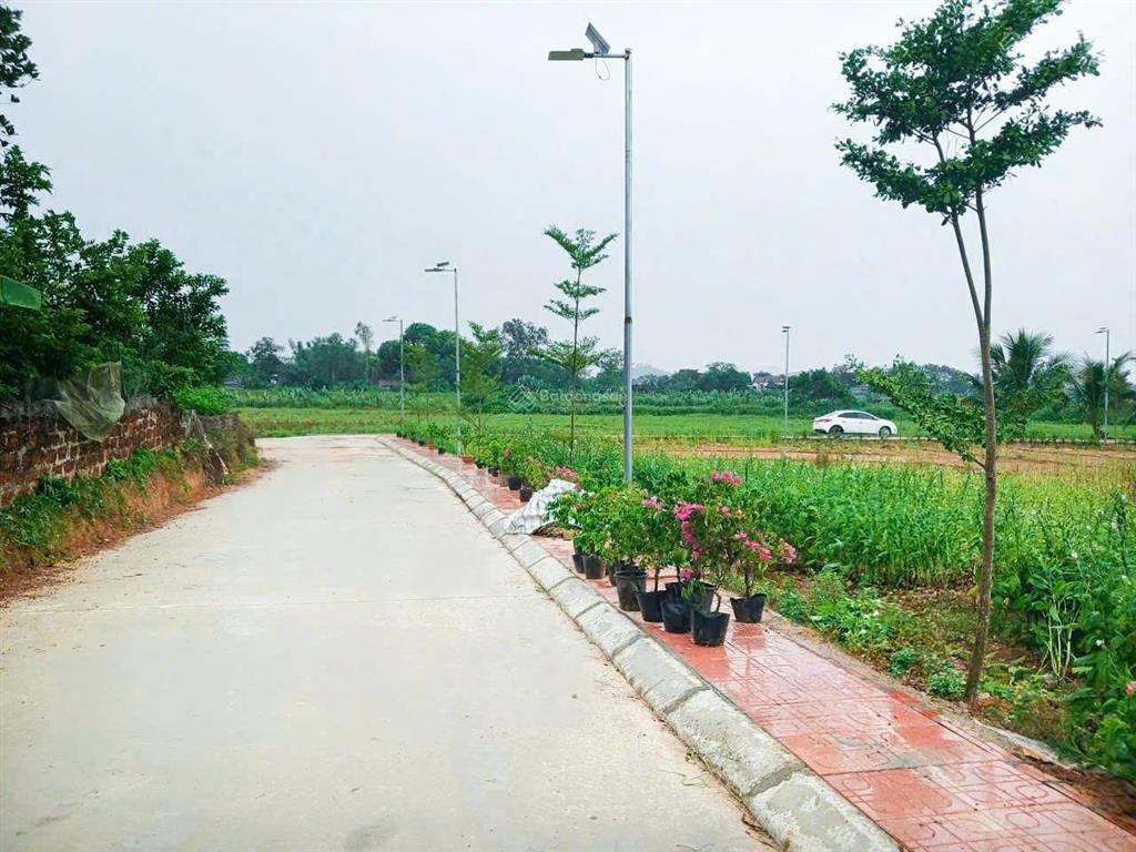 Chính chủ cần bán lô đất 100m2 với giá hơn 400tr gần kcn lam sơn sao vàng quy hoạch hơn 1000ha