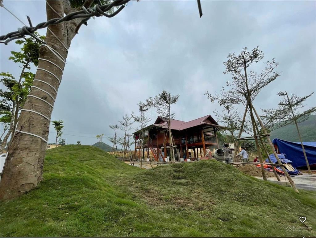Bán khu nhà sàn nghỉ dưỡng ven hồ thác bà sẵn ở hoặc cho thuê kinh doanh homestay