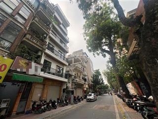 Bán nhà mặt phố lô góc phó đức chính  ngã tư cửa bắc  hơn 50 tỷ  dt 95m  kinh doanh sầm uất