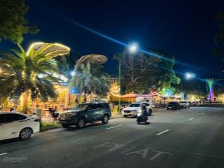 Còn duy nhất 1 lô đất biệt thự 250m2 . trục đường 48m . lề rộng 9m . kinh doanh sầm uất