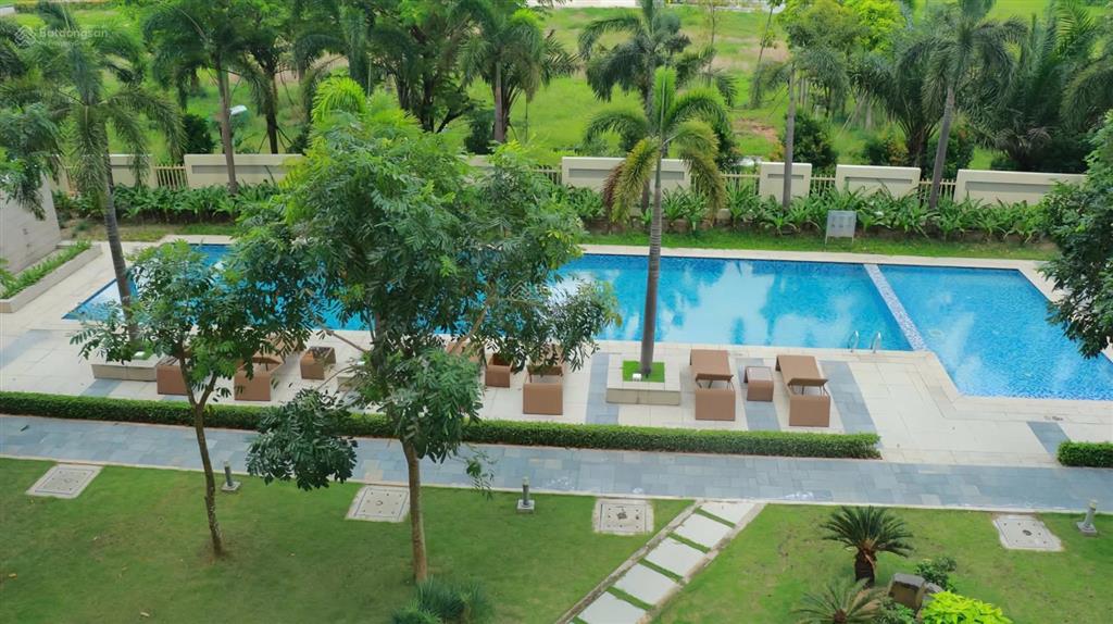 Cho thuê chung cư canary heights 2pn 2wc ql13 thuận an giá 15tr tl