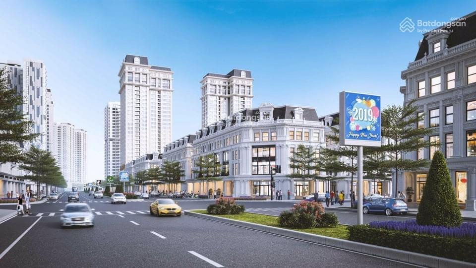 Đất nền dự án lô liền kề, biệt thự kđt đại kim định công mới giá chỉ từ 69,5tr/m2