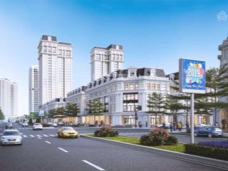 Đất nền dự án lô liền kề, biệt thự kđt đại kim định công mới giá chỉ từ 69,5tr/m2
