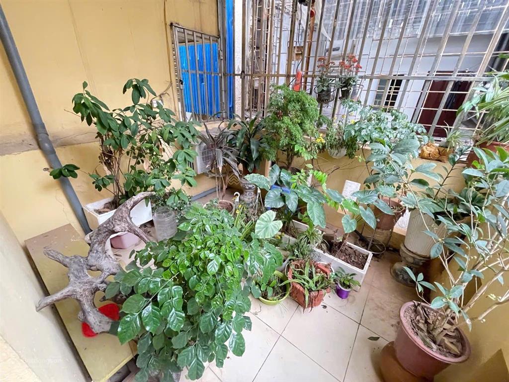 Bán nhanh ngõ 33 lê thanh nghị. 28m2. 5 tầng. mt 3m. oto vào nhà. giá 7.4tỷ có bớt cho khách.!