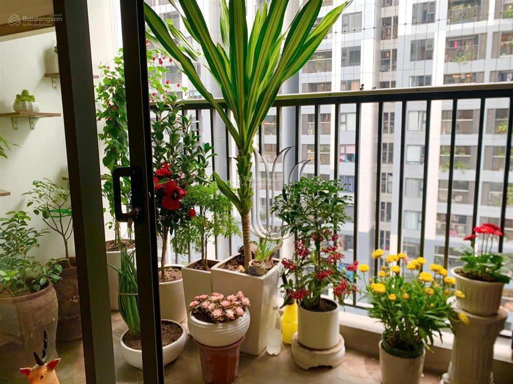 2pmn+ đặc biệt tại trung tâm hai bà trưng  2n2wc chỉ từ 8.9 tỷ    0866 972 ***