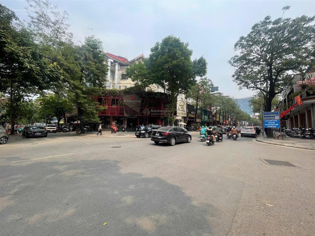 Biệt thự lô góc cực hiếm tại yên hòa, cầu giấy. 165m2, mt 8,5m. vị trí cực đẹp.  0708 858 ***