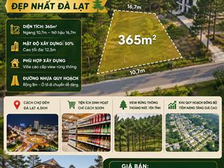 Bán đất biệt thự an sơn 365m2 view rừng thông đẹp