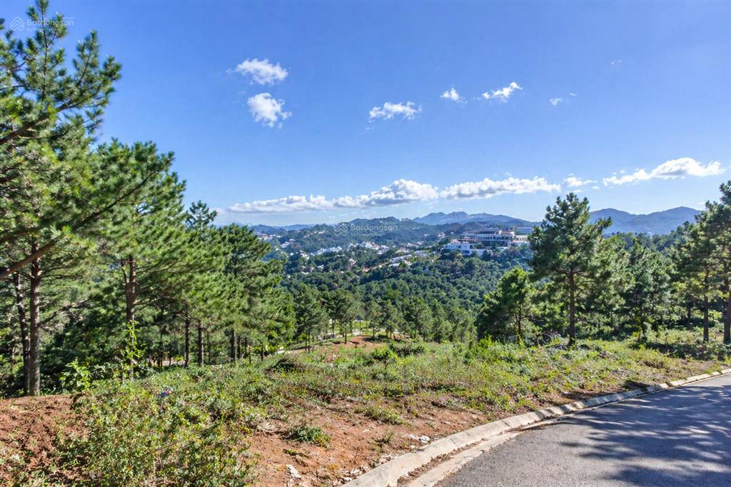 Bán đất biệt thự an sơn 365m2 view rừng thông đẹp