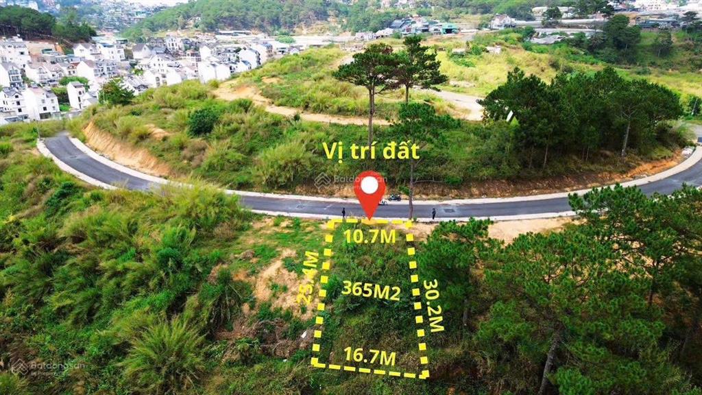 Bán đất biệt thự an sơn 365m2 view rừng thông đẹp