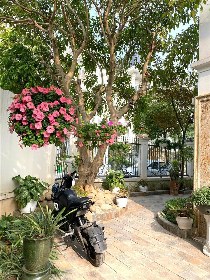 Cho thuê bt liền kề 283m2, 50 triệu, tại khu đô thị lideco hoài đức hà nội
