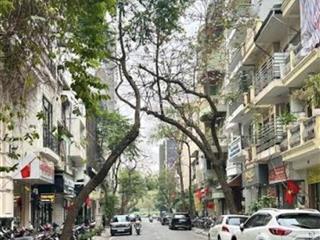 Shop tầng 1 lê ngọc hân  mặt tiền 4m  kinh doanh đỉnh