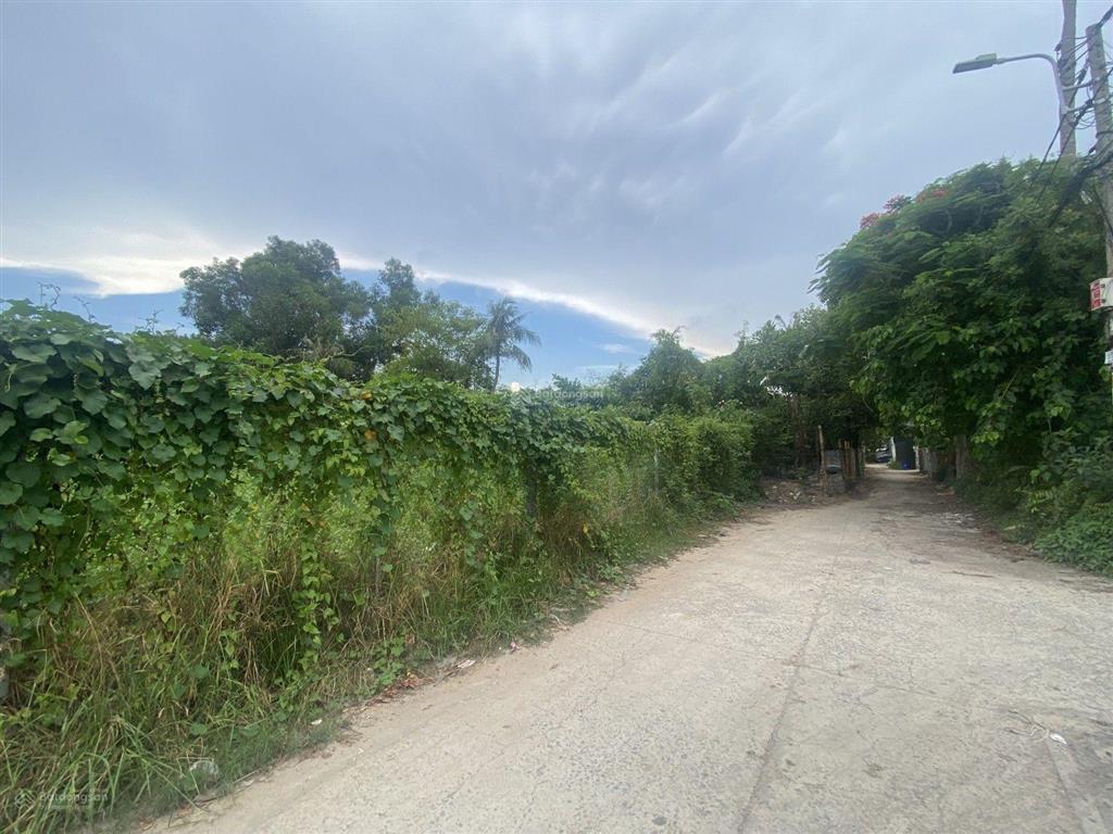 Đất đẹp thạnh xuân 31, quận 12, 100m2, ngang 5 mét, dài 20 mét