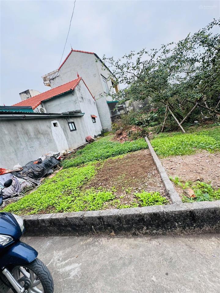 Đất nền tại tiểu khu đông đoài, phú xuyên, hơn 2 tỷ, 50.8m2, bán gấp giá ưu đãi