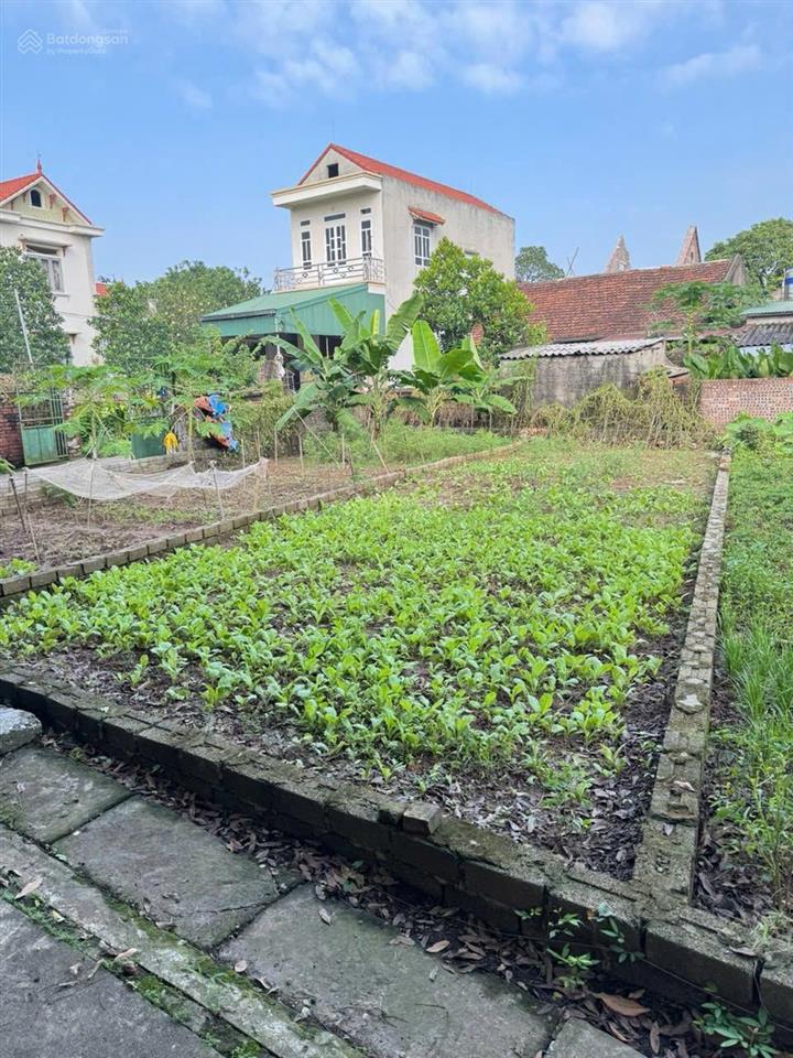 Đất 82,1m2 tại duyên yết, phú xuyên, giá 2,4 tỷ, bán gấp siêu hot
