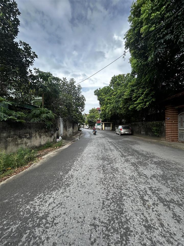 Bán đất tại đấu giá đồng vườn thôn nam quất, giá thỏa thuận, 81m2, đẹp, nhiều tiện ích