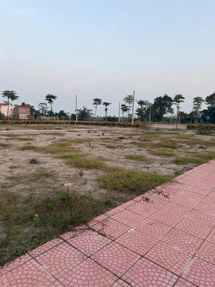 Bán đất tại đấu giá đường la lô 15,25,26,27, phú túc, 98m2, giá thỏa thuận, bao đẹp