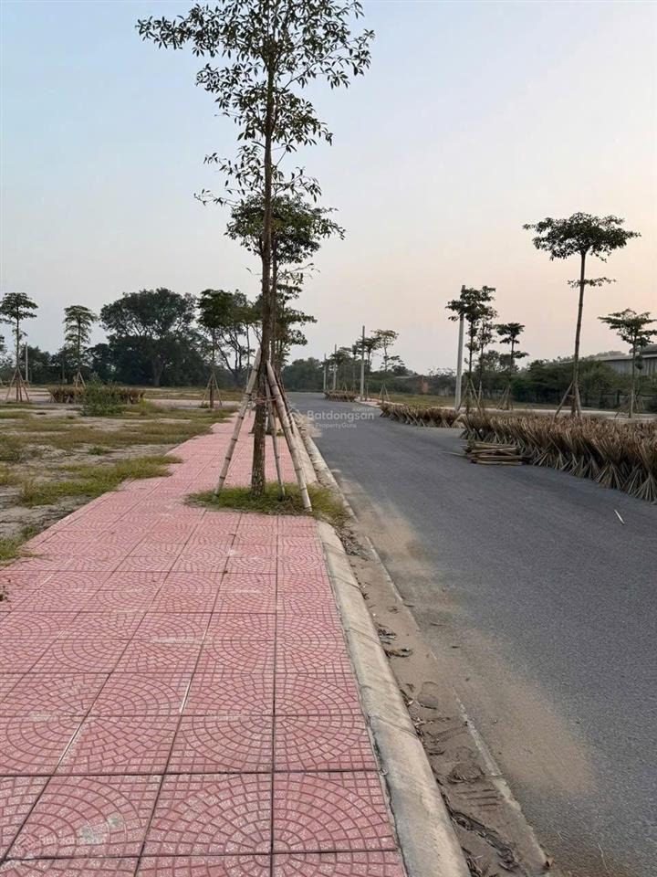 Bán đất tại đấu giá đường la lô 15,25,26,27, phú túc, 98m2, giá thỏa thuận, bao đẹp