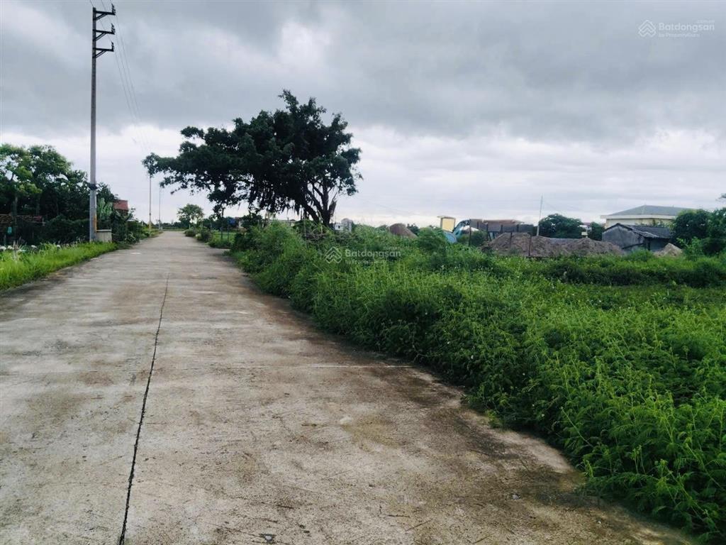 Bán gấp đất tại đấu giá khu ao làng, giá thỏa thuận, 100m2