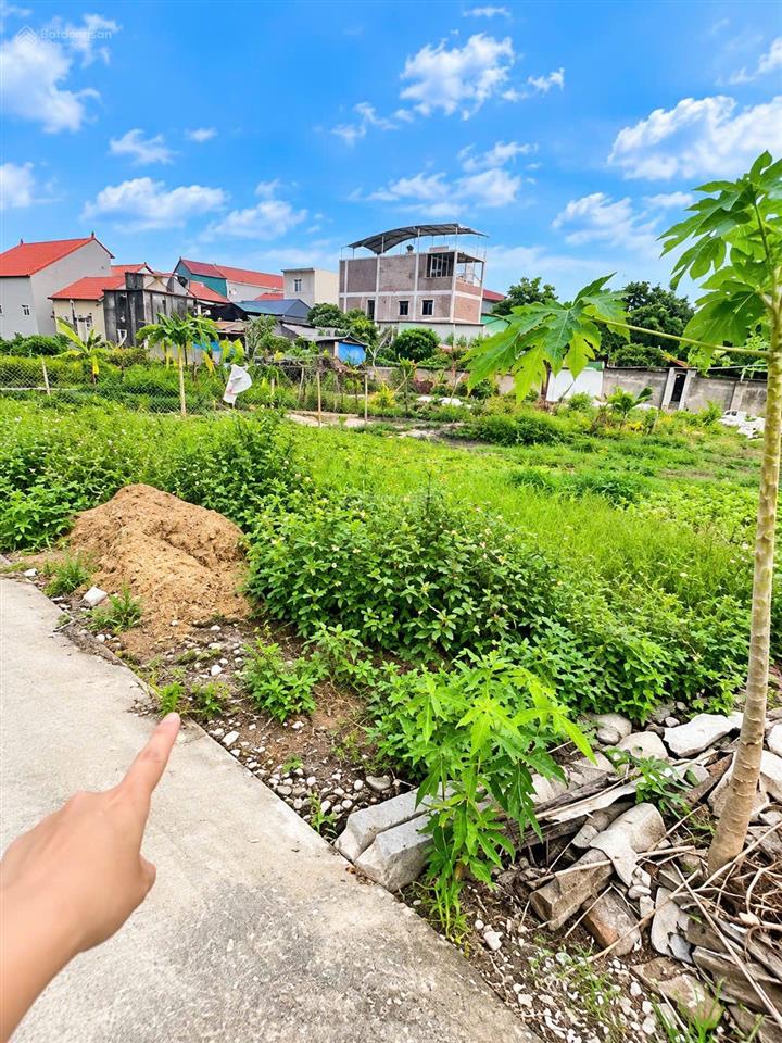 Bán đất đẹp xuất sắc, 2 lô f0 thôn vực, xã vân từ, phú xuyên, giá thỏa thuận, 80m2