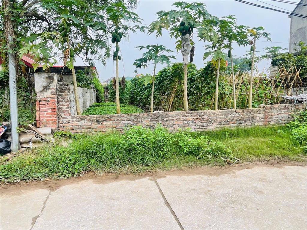 Hàng hiếm tại trục chính làng lạt dương, giá thỏa thuận, 78.9m2