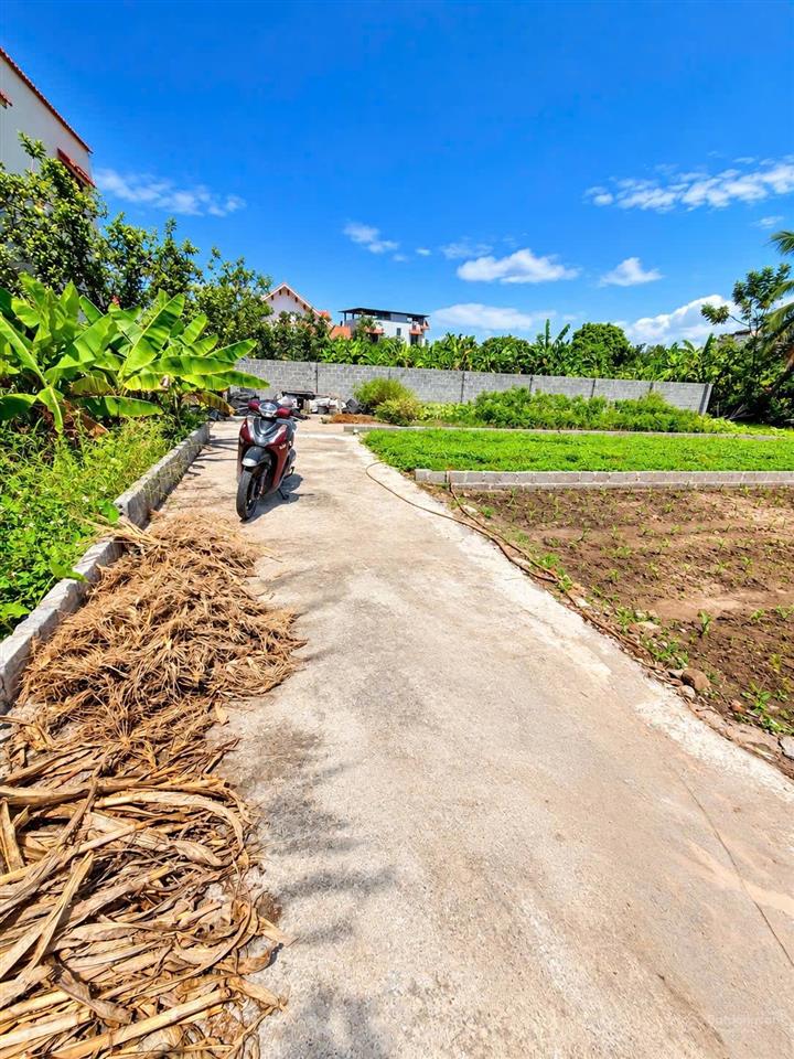 Bán đất tại chương lộc, giá thỏa thuận, 83.3m2, mặt tiền 5.05m hàng hot
