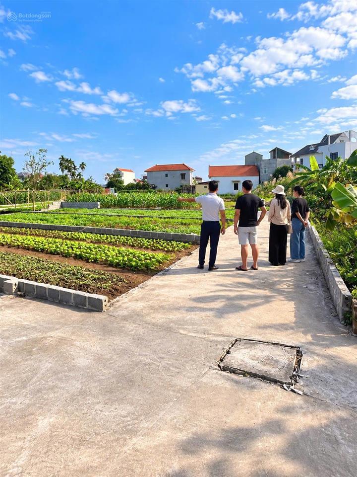 Bán đất tại chương lộc, giá thỏa thuận, 83.3m2, mặt tiền 5.05m hàng hot