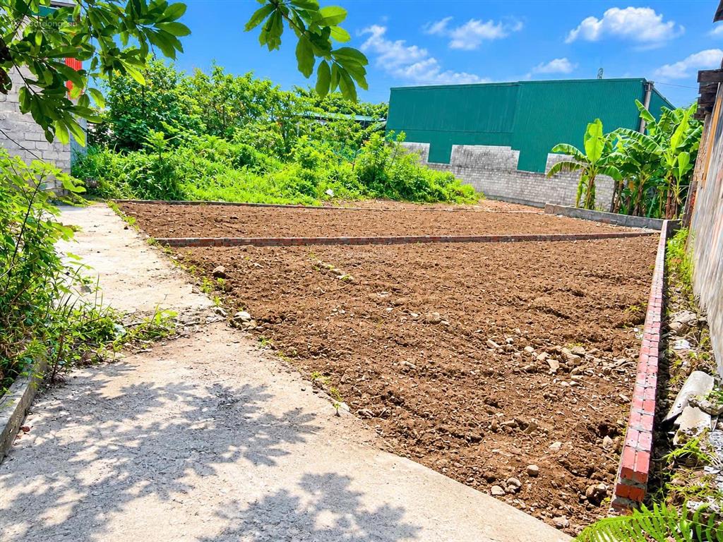 Đất bán gấp tại đỗ xá, 1,28 tỷ, 42,5 m2, mặt tiền 7,16m